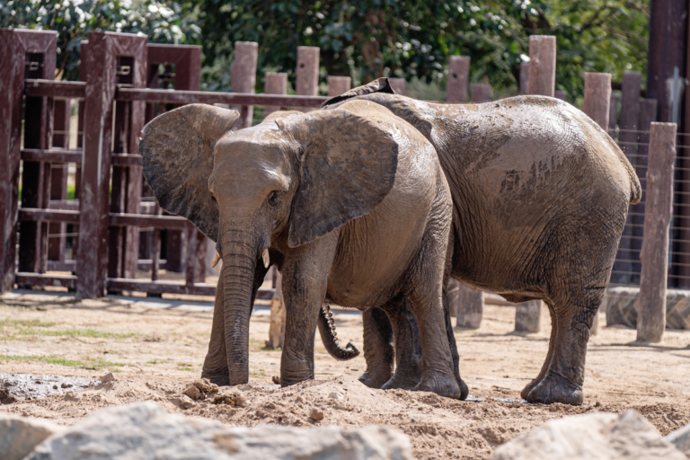 Zoos to visit in England on vacation